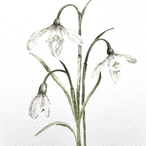 Eredeti akvarell  hóvirág  festmény - Meska.hu