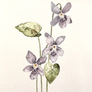 Eredeti akvarell  ibolya virág festmény - Meska.hu