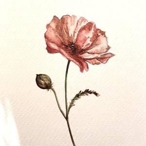 Eredeti akvarell  keleti pipacs virág festmény - Meska.hu