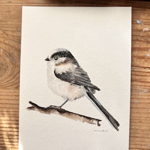 Eredeti akvarell őszapó madár festmény - művészet - festmény - akvarell - Meska.hu