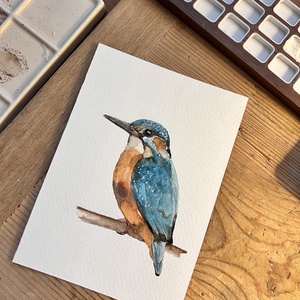 Eredeti akvarell jégmadár madaras festmény - művészet - festmény - akvarell - Meska.hu