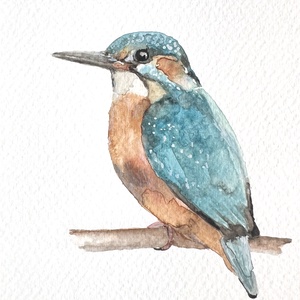 Eredeti akvarell jégmadár madaras festmény, Művészet, Festmény, Akvarell, Festészet, MESKA