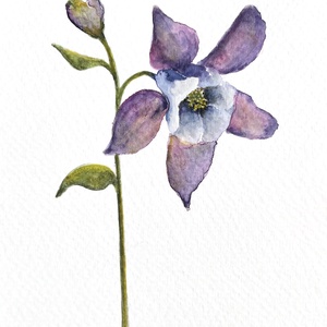 Eredeti akvarell lila virágos festmény, Művészet, Festmény, Akvarell, Festészet, MESKA