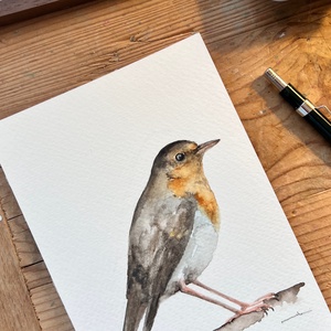 Eredeti akvarell vörösbegy madár festmény - művészet - festmény - akvarell - Meska.hu