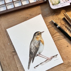 Eredeti akvarell vörösbegy madár festmény - művészet - festmény - akvarell - Meska.hu