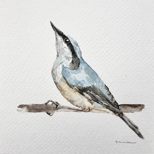 Eredeti akvarell madaras festmény, Művészet, Festmény, Akvarell, Festészet, MESKA