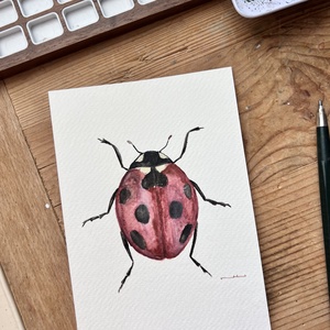 Eredeti akvarell katica festmény, Művészet, Festmény, Akvarell, Festészet, MESKA