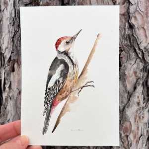 Eredeti akvarell harkály festmény, Művészet, Festmény, Akvarell, Festészet, MESKA