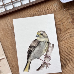 Eredeti akvarell madaras festmény - művészet - festmény - akvarell - Meska.hu