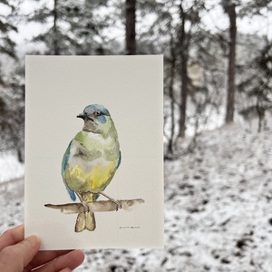 Eredeti akvarell madaras festmény - művészet - festmény - akvarell - Meska.hu