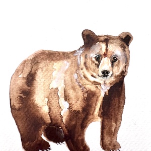 Eredeti akvarell mackó festmény - Meska.hu