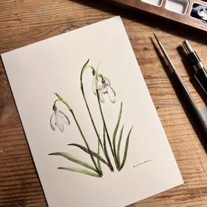 Eredeti akvarell  hóvirág  festmény, Művészet, Festmény, Akvarell, Festészet, MESKA