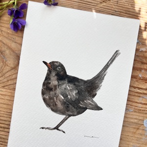 Eredeti akvarell feketerigó madár festmény - művészet - festmény - akvarell - Meska.hu