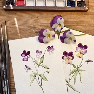 Eredeti akvarell árvácska virágos festmény - művészet - festmény - akvarell - Meska.hu