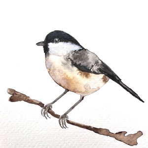 Eredeti akvarell madaras festmény - Meska.hu