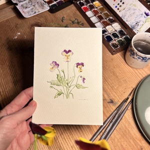 Eredeti akvarell árvácska virágos festmény - művészet - festmény - akvarell - Meska.hu