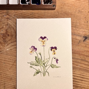 Eredeti akvarell árvácska virágos festmény - művészet - festmény - akvarell - Meska.hu