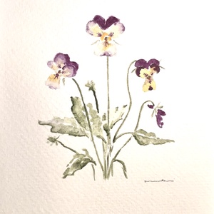 Eredeti akvarell árvácska virágos festmény - Meska.hu