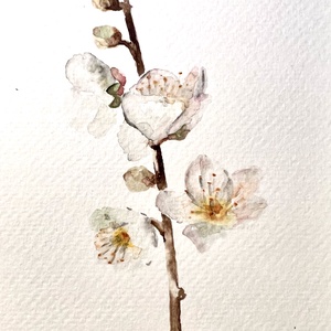 Eredeti akvarell mandulavirág  festmény - Meska.hu