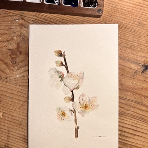 Eredeti akvarell mandulavirág  festmény - művészet - festmény - akvarell - Meska.hu