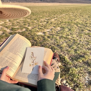 Eredeti akvarell mandulavirág  festmény - művészet - festmény - akvarell - Meska.hu