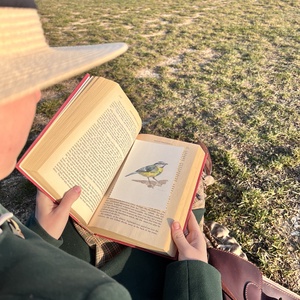 Eredeti akvarell madaras festmény - művészet - festmény - akvarell - Meska.hu