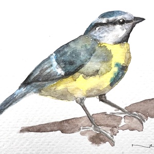 Eredeti akvarell madaras festmény, Művészet, Festmény, Akvarell, Festészet, MESKA