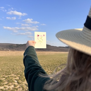 Eredeti akvarell árvácska virágos festmény - művészet - festmény - akvarell - Meska.hu