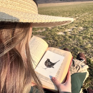 Eredeti akvarell feketerigó madár festmény - művészet - festmény - akvarell - Meska.hu