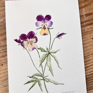 Eredeti akvarell árvácska virágos festmény, Művészet, Festmény, Akvarell, Festészet, MESKA