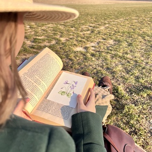 Eredeti akvarell ibolya virág festmény - művészet - festmény - akvarell - Meska.hu