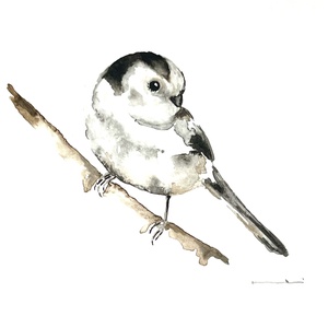 Eredeti akvarell őszapó madár festmény - Meska.hu