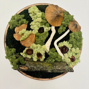 Zúzmó körkép 4, Otthon & Életmód, Dekoráció, Asztal és polc dekoráció, Zuzmódekoráció, Mohadekoráció, , MESKA