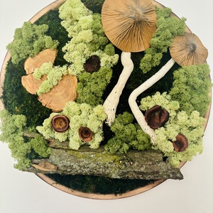 Zúzmó körkép 4 - otthon & életmód - dekoráció - asztal és polc dekoráció - zuzmódekoráció, mohadekoráció - Meska.hu