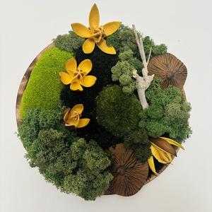 Zúzmó körkép 3, Otthon & Életmód, Dekoráció, Asztal és polc dekoráció, Zuzmódekoráció, Mohadekoráció, , MESKA