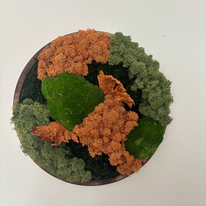 Zúzmó körkép 2, Otthon & Életmód, Dekoráció, Asztal és polc dekoráció, Zuzmódekoráció, Mohadekoráció, , MESKA