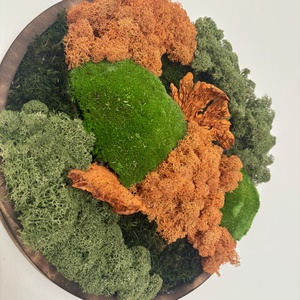 Zúzmó körkép 2 - otthon & életmód - dekoráció - asztal és polc dekoráció - zuzmódekoráció, mohadekoráció - Meska.hu