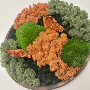 Zúzmó körkép 2 - otthon & életmód - dekoráció - asztal és polc dekoráció - zuzmódekoráció, mohadekoráció - Meska.hu