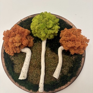 Zúzmó körkép 1, Otthon & Életmód, Dekoráció, Asztal és polc dekoráció, Zuzmódekoráció, Mohadekoráció, , MESKA