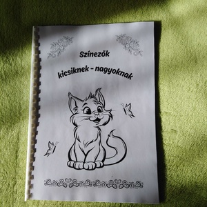 Színezők kicsiknek-nagyoknak, Művészet, Grafika & Illusztráció, Egyéb rajzok, Fotó, grafika, rajz, illusztráció, MESKA