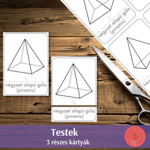 A testek - Montessori 3-5 részes kártyák - játék & sport - készségfejlesztő és logikai játék - oktató játékok - Meska.hu