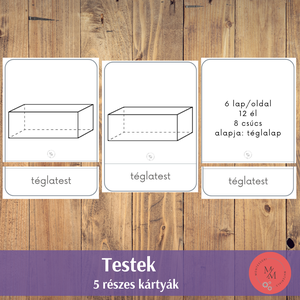 A testek - Montessori 3-5 részes kártyák - játék & sport - készségfejlesztő és logikai játék - oktató játékok - Meska.hu