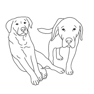 Vonalrajzból hímzés 3db-os szett - ruha & divat - női ruha - póló, felső - Meska.hu