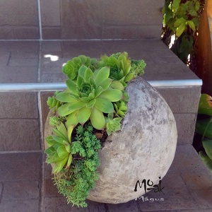 Kövirózsák rusztikus 20cm-es beton gömbben -  - Meska.hu
