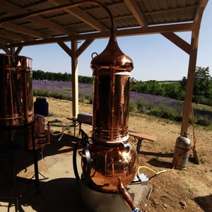 Levendula Hidrolátum 250ml - szépségápolás - levendulavíz - Meska.hu