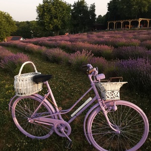 Kistermelői Kézműves Bodzaszörp  500ml - élelmiszer - szörp - Meska.hu