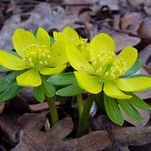 Moha labirintus karkötő - ékszer - karkötő - karperec - Meska.hu