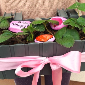 Nőnapi cserepes eper balkonládában, Otthon & Életmód, Ház & Kert, Virágláda, balkonláda, Decoupage, transzfer és szalvétatechnika, Festett tárgyak, MESKA