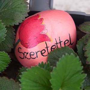 Anyák napi cserepes eper balkonládában - otthon & életmód - ház & kert - virágláda, balkonláda - Meska.hu