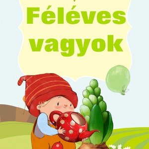 Kisfiú babakártya fotókártya milestone kártya milestone card mérföldkő kártya szülinapi poszter babakártya babaváró gift - otthon & életmód - papír, írószer - babanapló - Meska.hu